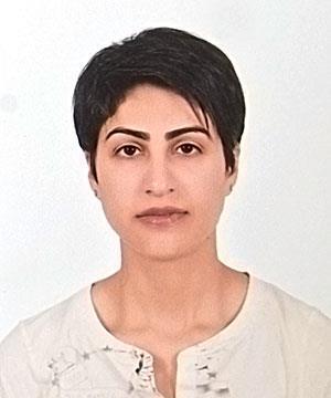 Dr Heba ALKHASHNAM